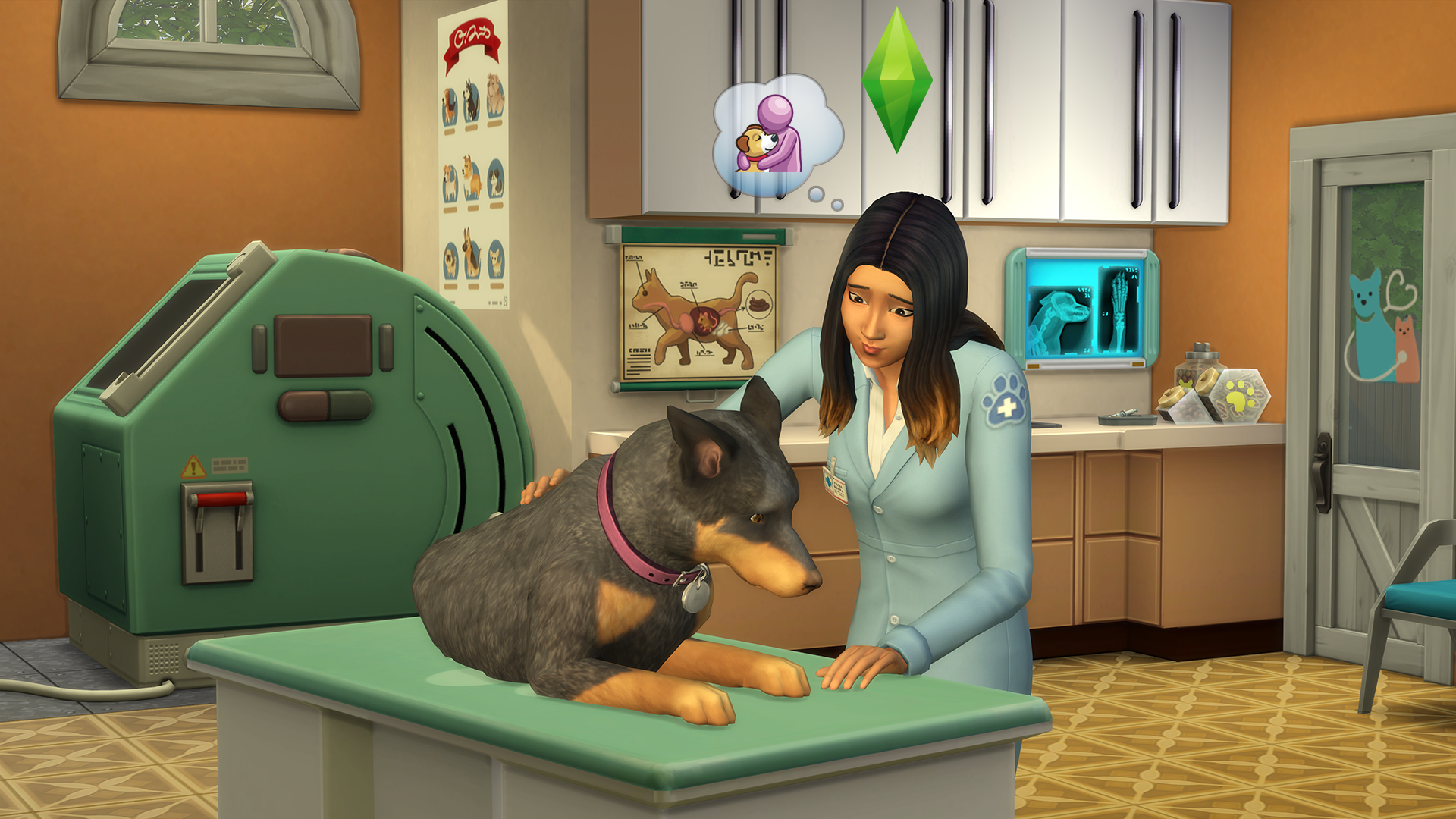 Sims 4 Hund Und Katze Cheats